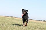 BEAUCERON 180